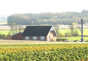 Korupvej 54